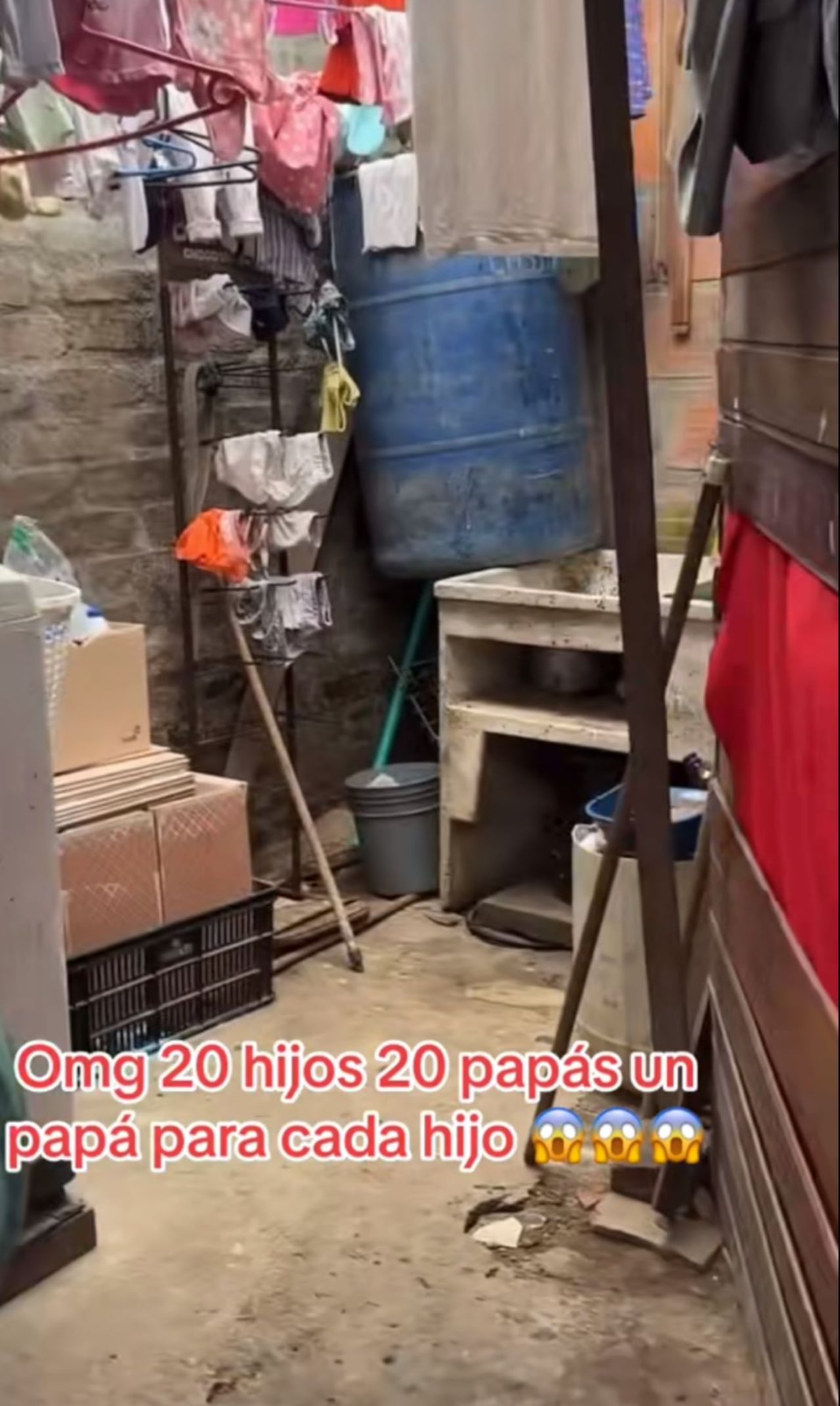 Los hijos se encargan de limpiar la casa, aunque todos estudian