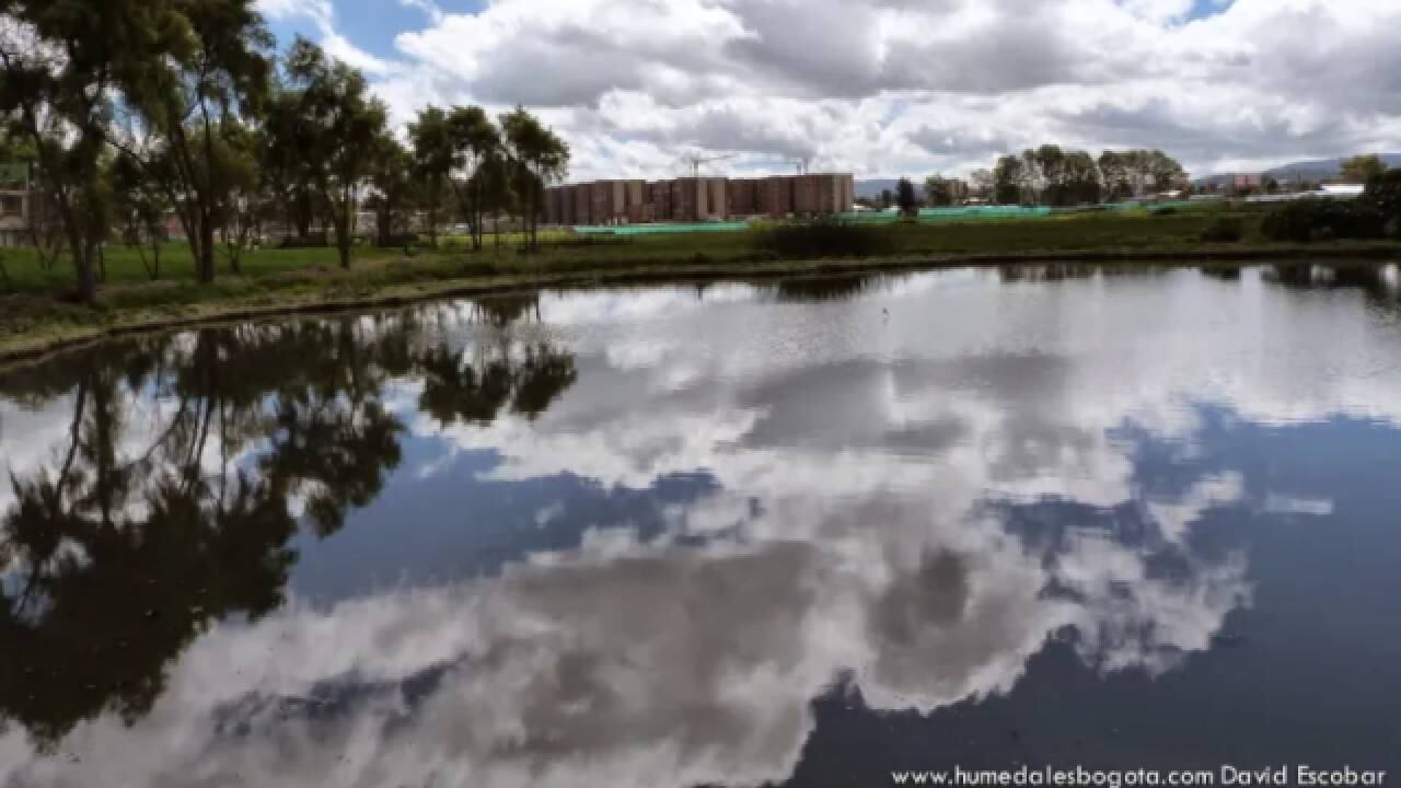 Dos ladrones se encuentran desaparecidos tras lanzarse al lago del humedal Jaboque en Suba.