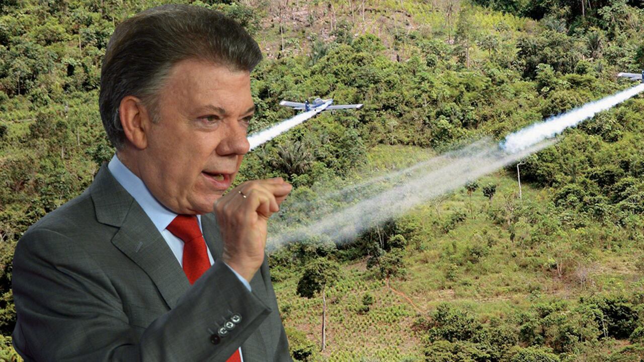 Juan Manuel Santos espera tomar una decisión en las fumigaciones.