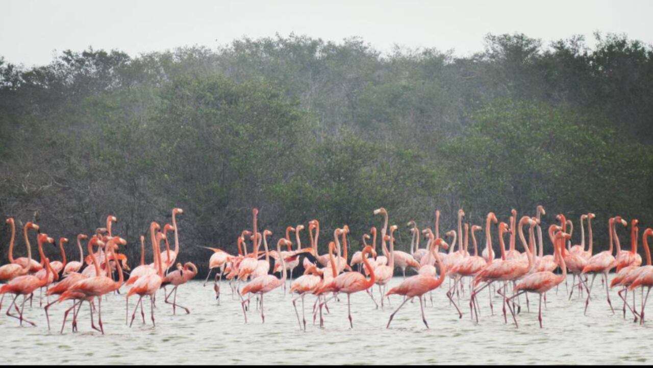 Playa Camarón, un encantador corregimiento de la Guajira