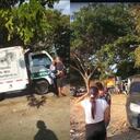 Habrían hallado dos cadáveres en la vía Candelaria- Puerto Tejada.