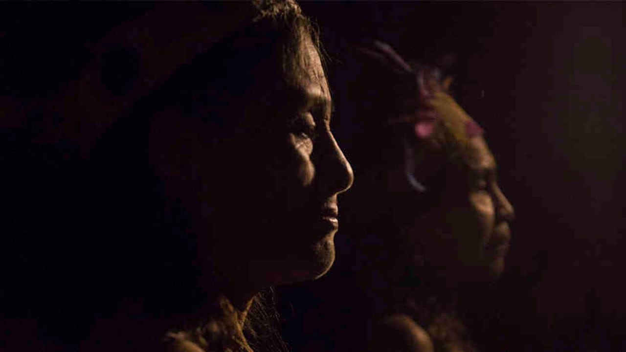 El país debe apropiarse del aprendizaje de las culturas indígenas y disfrutar del tesoro de su conocimiento.