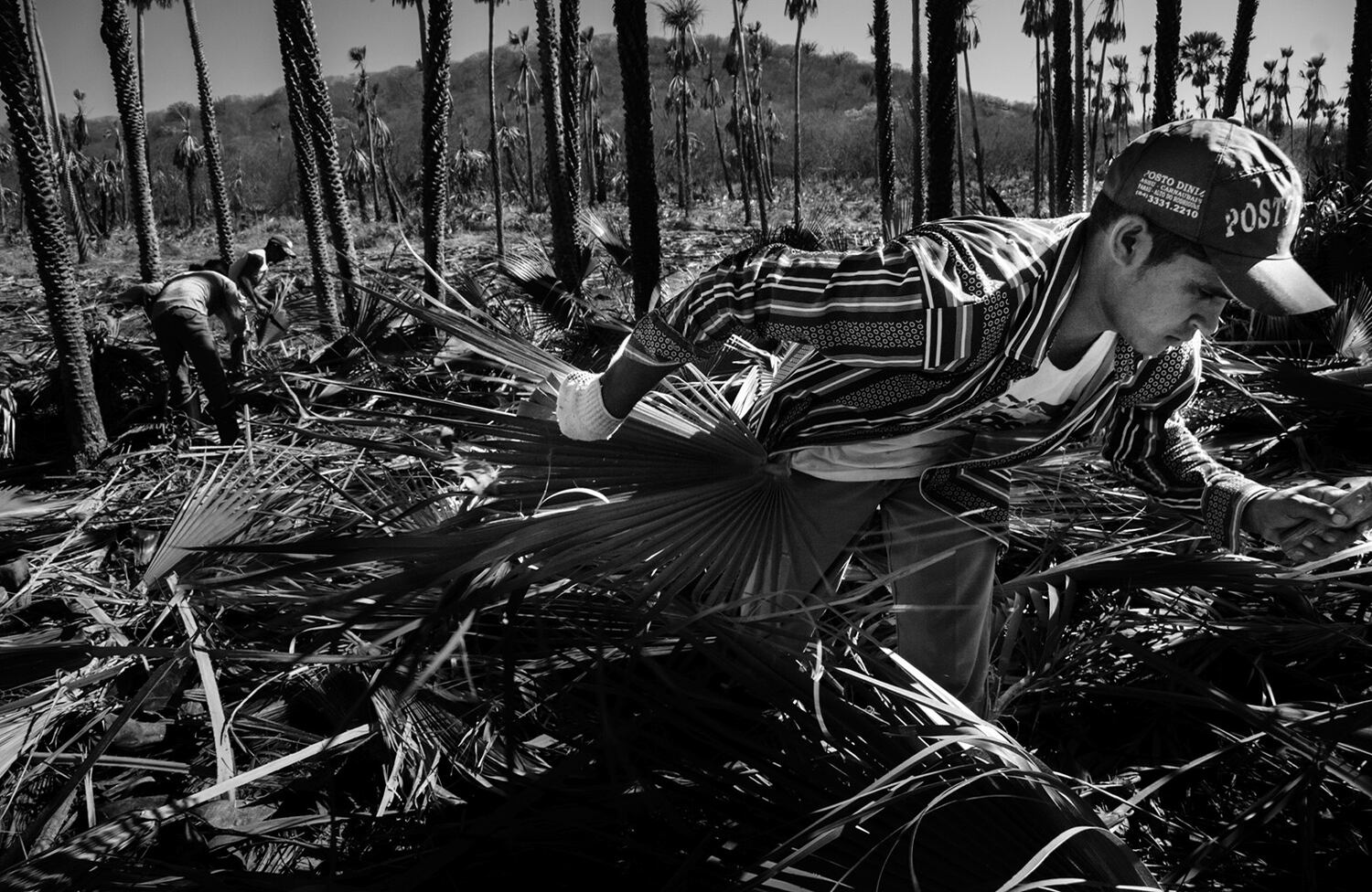 Ganador categoría hombres trabajadores - 'Bravos' (Serie x 3) / Jean Souza Lopes (Brasil)