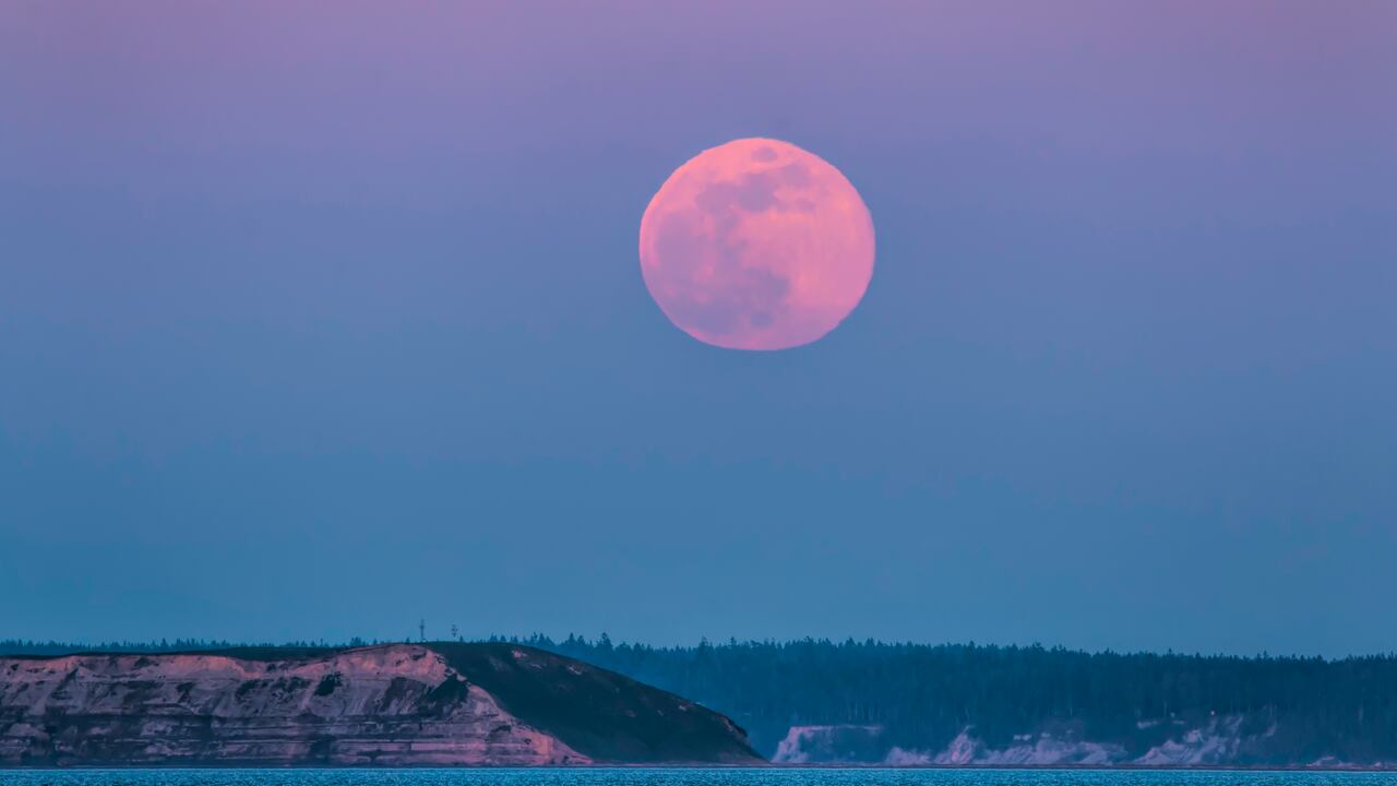 La luna rosa