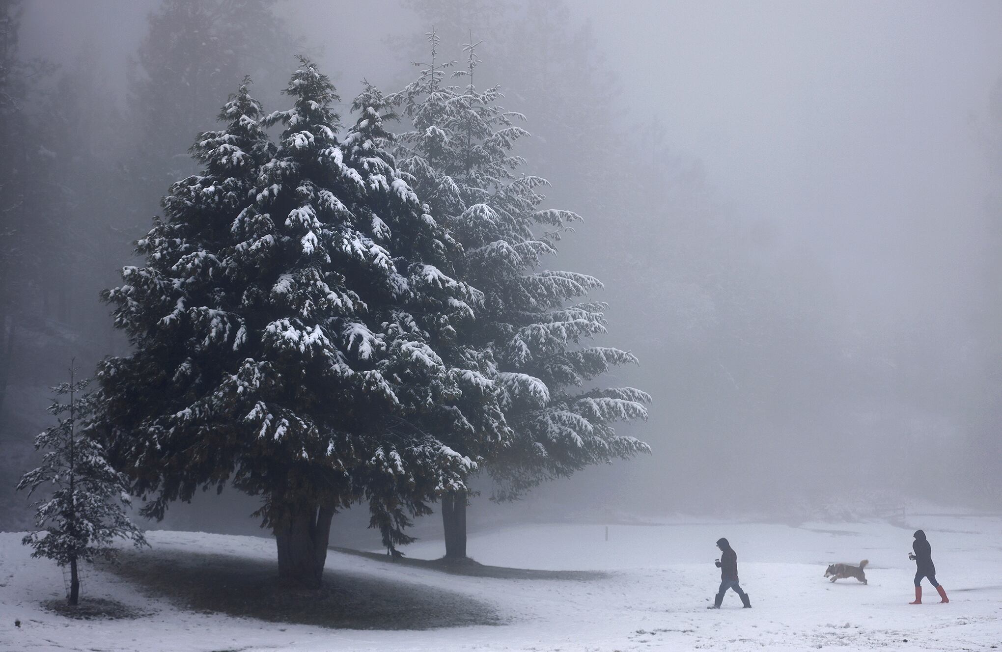 Las postales que nos deja el invierno en el mundo.