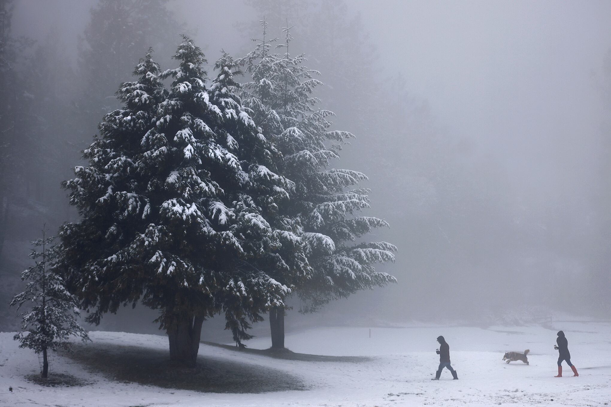 Las postales que nos deja el invierno en el mundo.