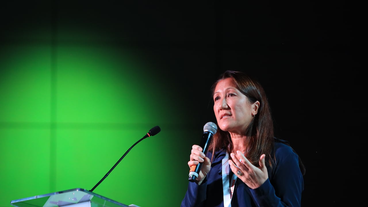 Shafia Zaloom, profesora en la Escuela de Graduados en Educación de Harvard.