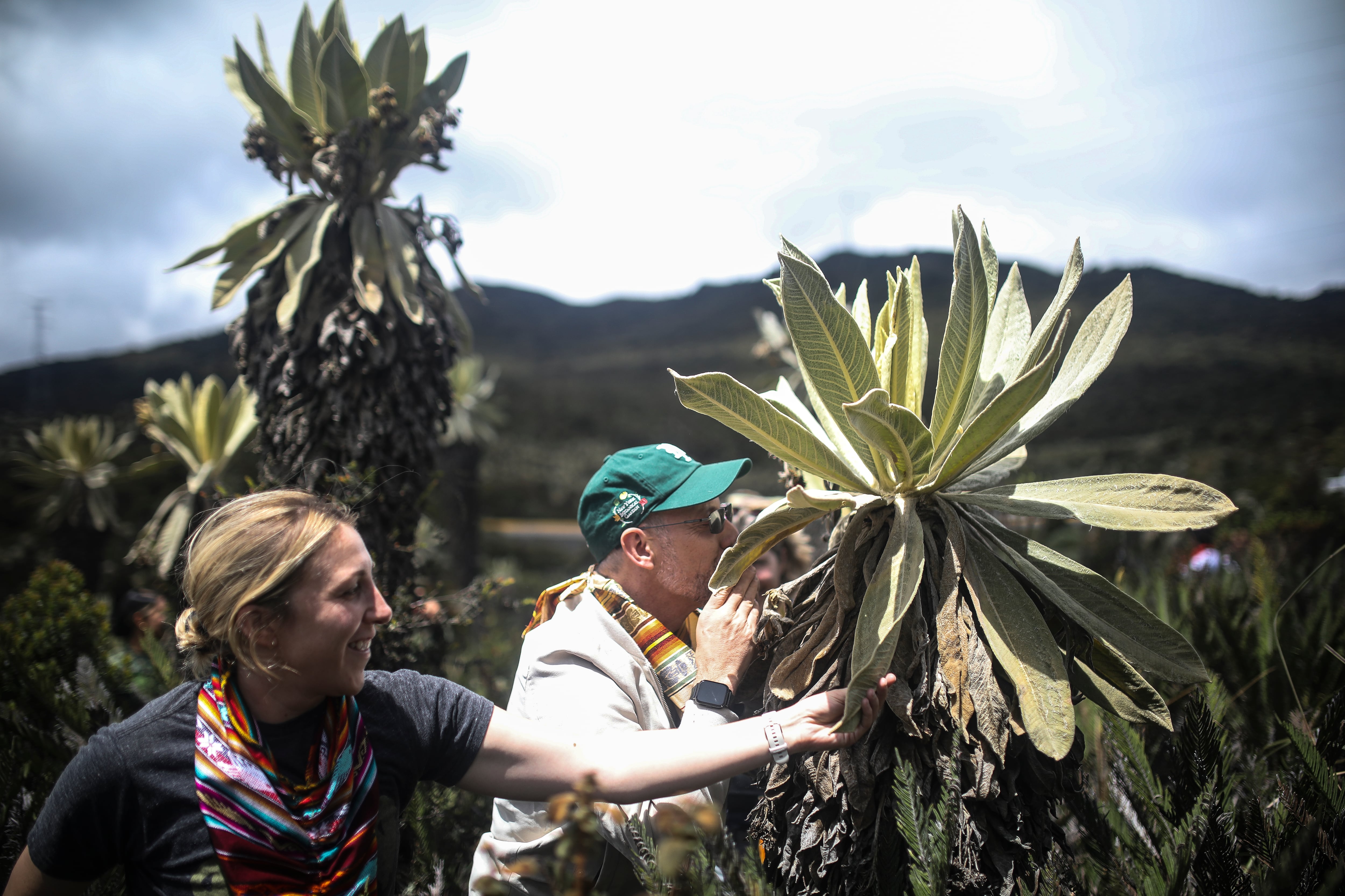 Jardín Botánico de Nueva York en Nariño