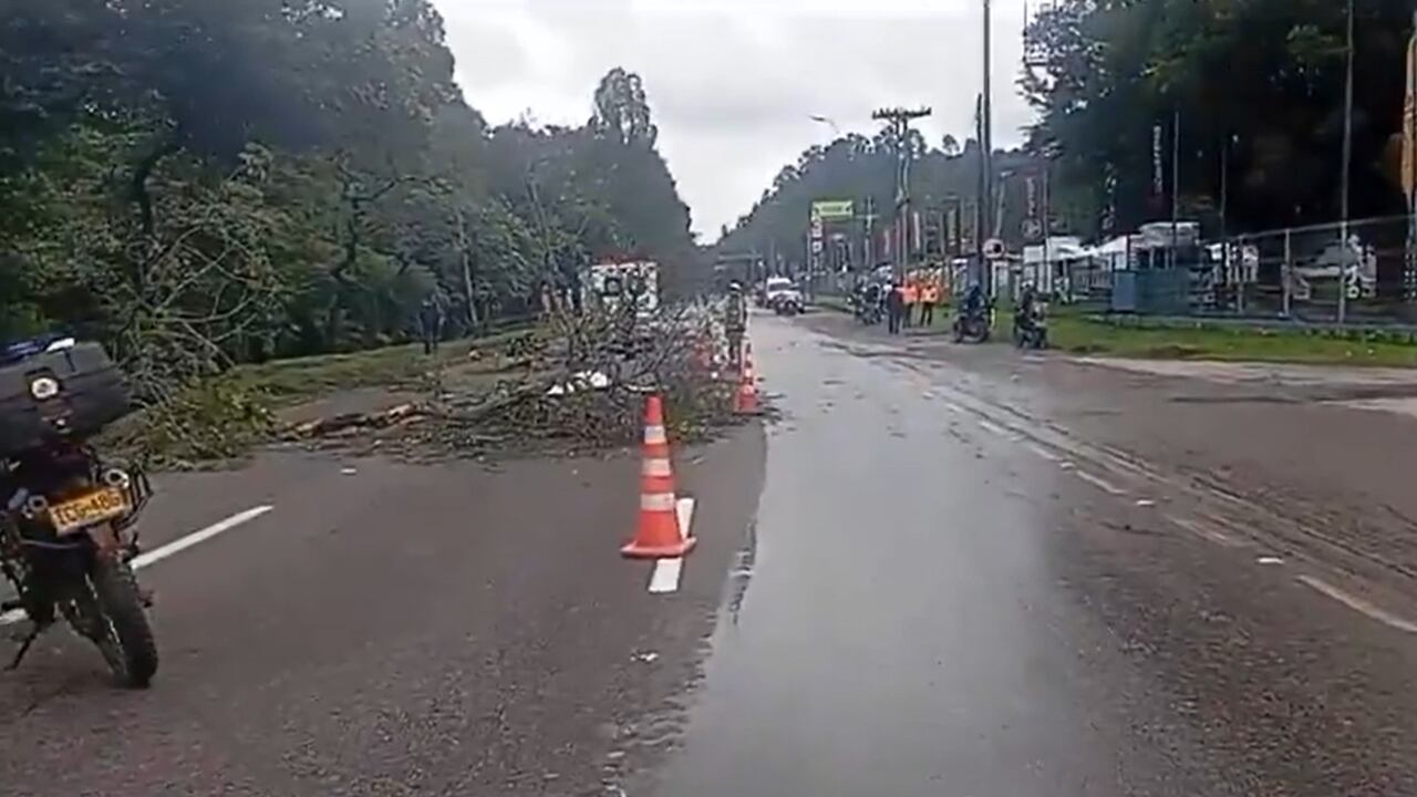El hecho se presentó en la mañana de este jueves.