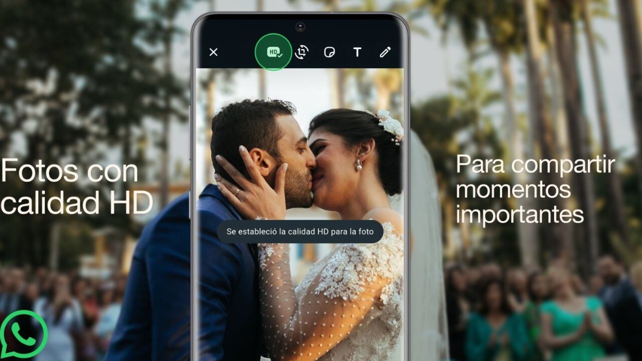 Esta es la nueva función de Whatsapp para enviar fotos en HD