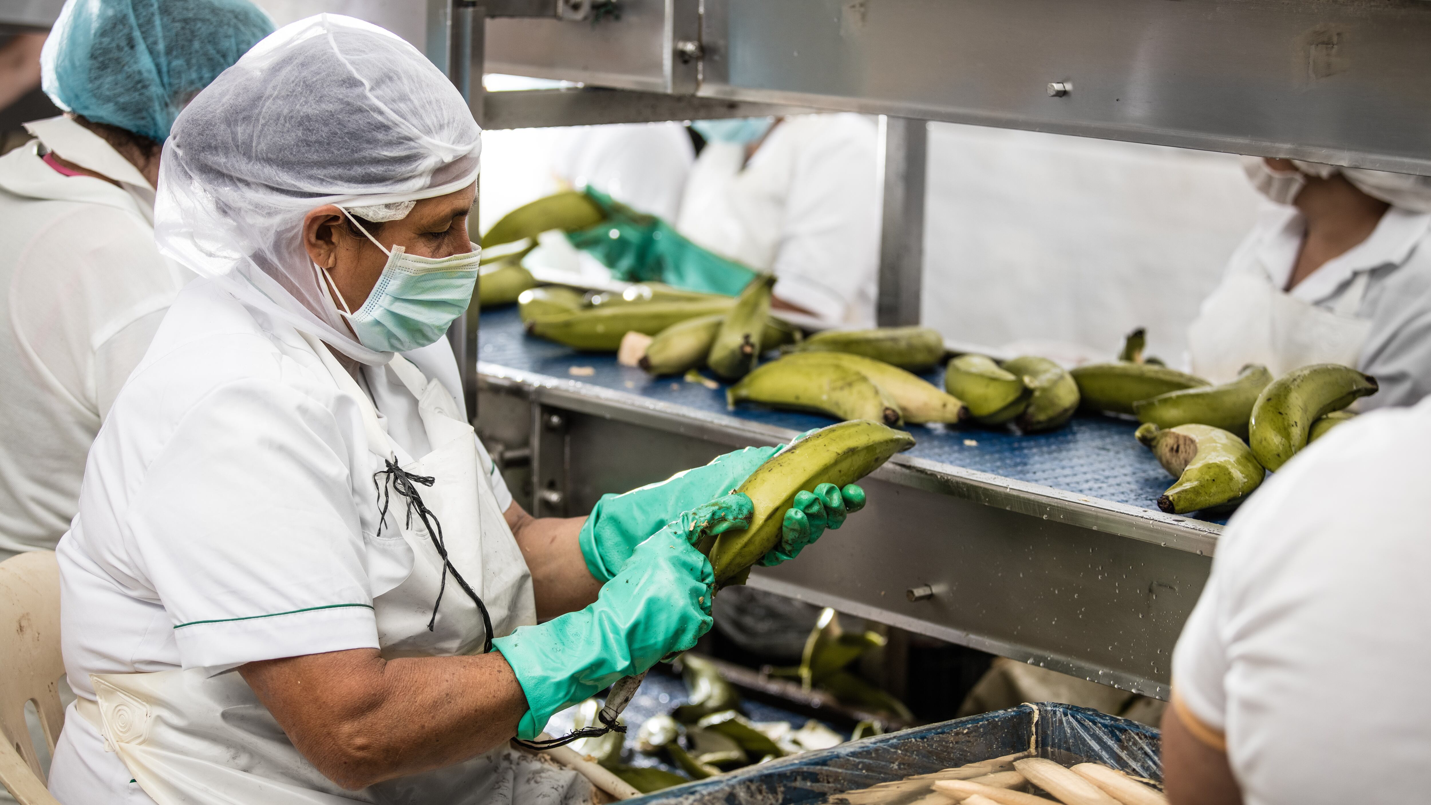 Nota María Paula Cano