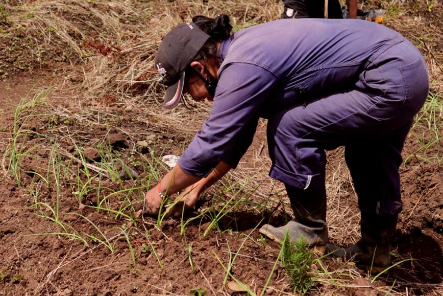 El WFP impulsa la inclusión de excombatientes en diversas actividades económicas y sociales en los municipios. Foto: WFP