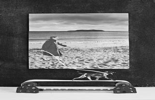 Le chien de Monique (El perro de Monique) El fotógrafo francés comenzó su vida artística a los 65 años, después de jubilarse y cree firmemente en los artistas tardíos porque pueden mostrar el mundo desde la experiencia.