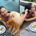 Los seguidores de Greeicy en redes sociales están familiarizados con su "familia perruna".