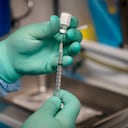 Nuevos estudios estadounidenses publicados el viernes 10 de septiembre de 2021 muestran COVID -19 vacunas siguen siendo altamente efectivas, especialmente contra hospitalizaciones y muerte, incluso contra la variante delta extra-contagiosa. (Foto AP / Jae C. Hong)