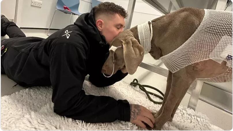 Ya este jueves, informó sobre la salud de Rambo: “¡Su respiración está mejorando y, después de hacerse análisis de sangre, muestra que está dando grandes pasos adelante!”.