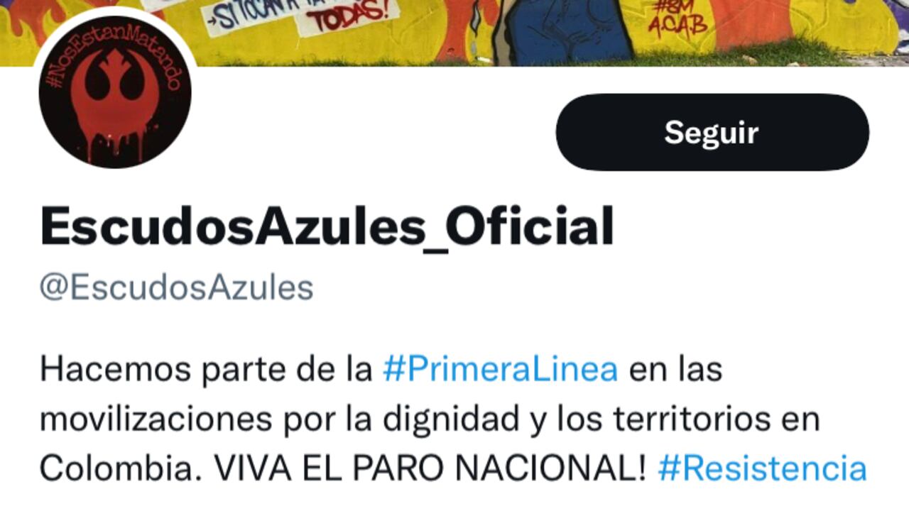 Escudos Azules hace parte Primera Línea que ha promovido protestas en Bogotá.