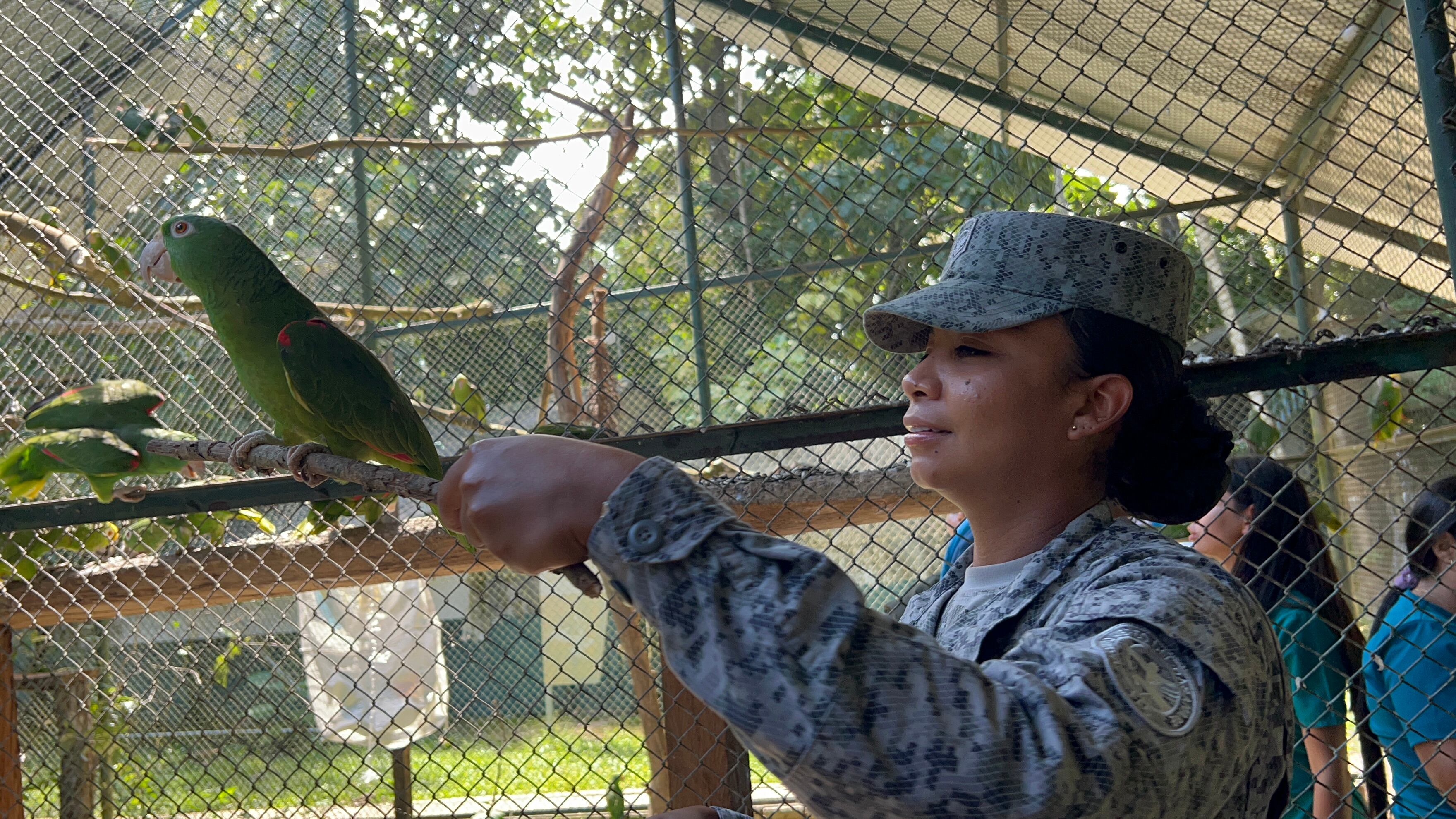 Los animales rescatados en Risaralda regresarán a la libertad en Casanare.