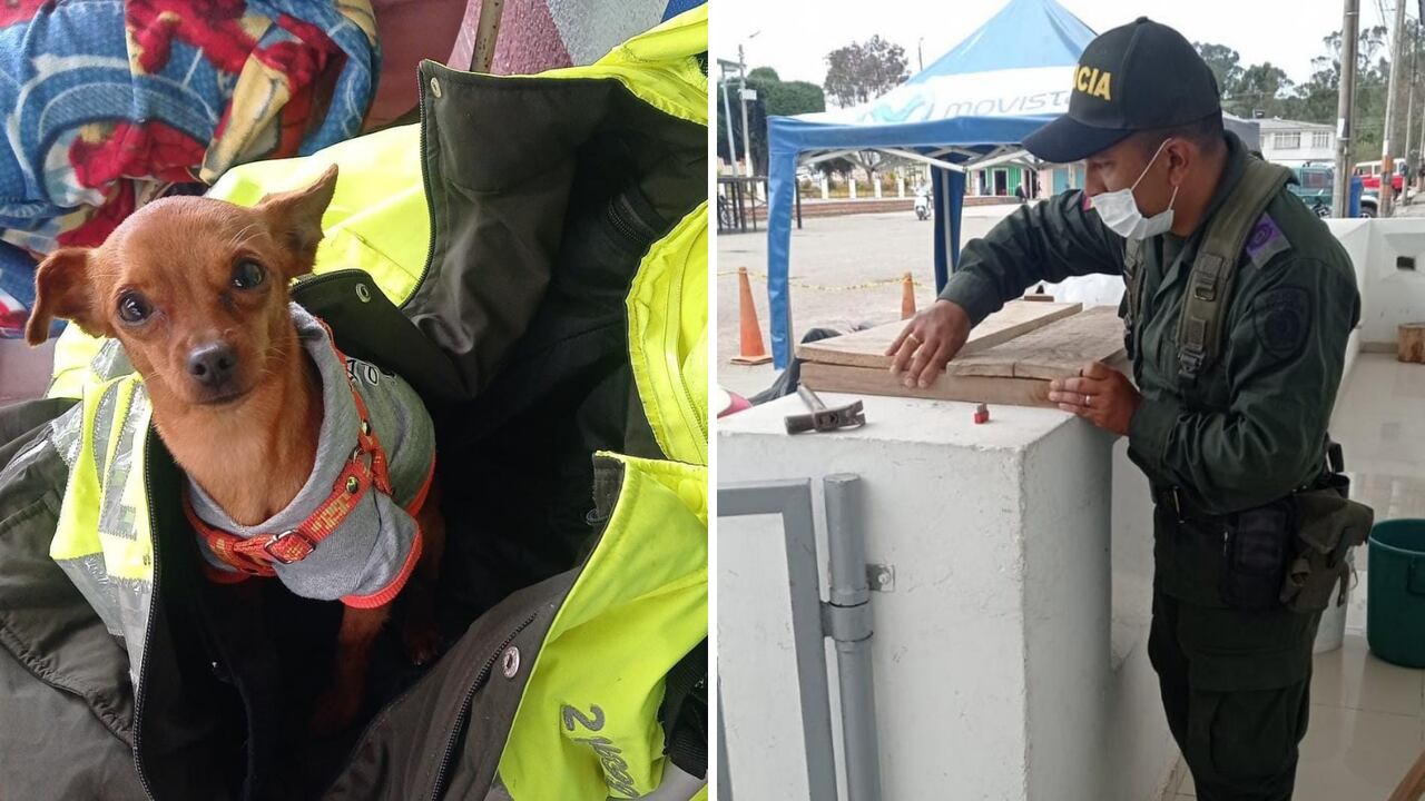 Ejemplo policía en Tolima