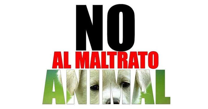 Derechos de los animales en Colombia