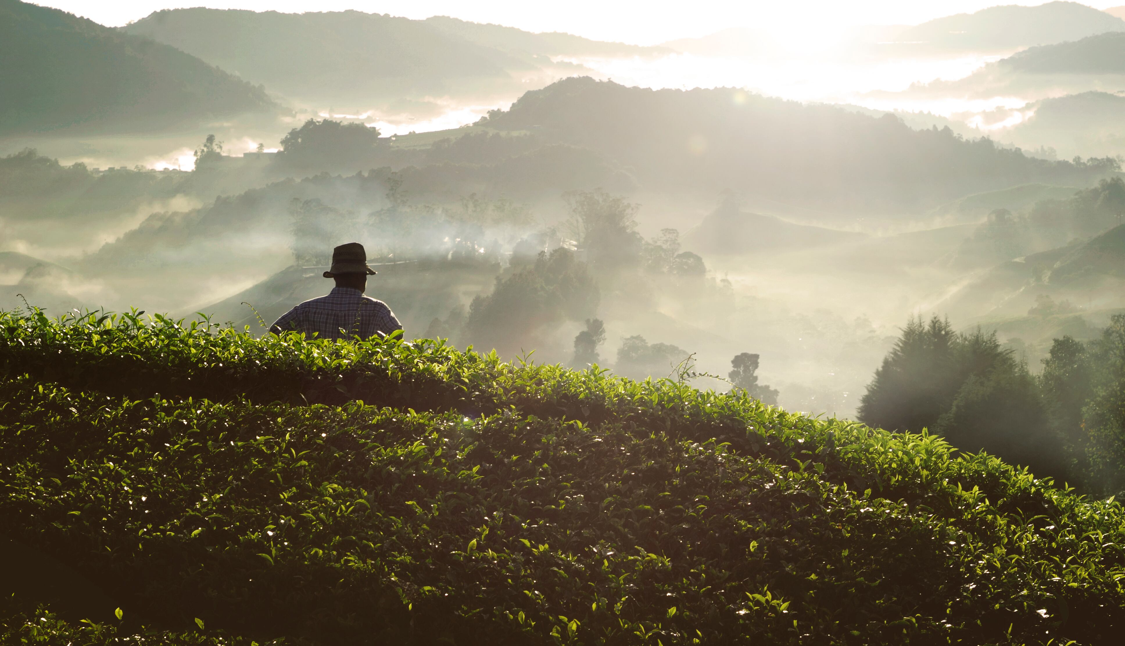 Colombia necesita avanzar en la misma dirección, consolidando los logros alcanzados y enfrentando sus desafíos con responsabilidad y visión de futuro.