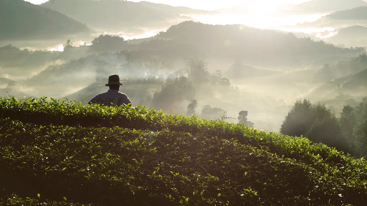Es hora de reconocer que las regiones son el motor dormido del desarrollo nacional.