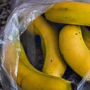 Según National Geographic, se sabe de la existencia de al menos 45.000 especies de arañas (entre las que se encuentra una hallada entre plátanos).