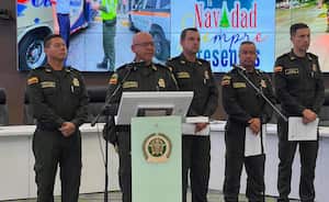 Se hicieron más de 80 mil llamadas a la línea de emergencia en todo el país.