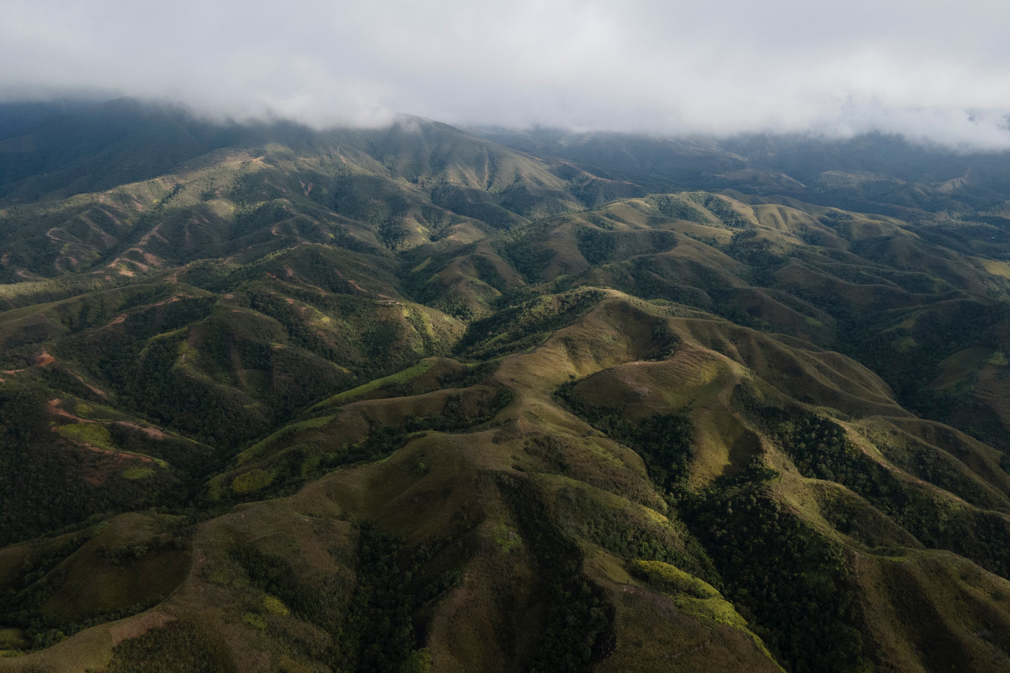 El evento es clave para avanzar en el Marco Global de Biodiversidad Kunming-Montreal, que establece objetivos para reducir amenazas, restaurar ecosistemas y fortalecer mecanismos financieros para 2030.