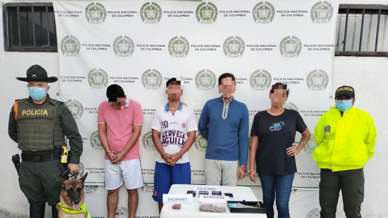 Estos son los presuntos vendedores de happy brownies en Santa Marta, entre los capturados hay una mujer.