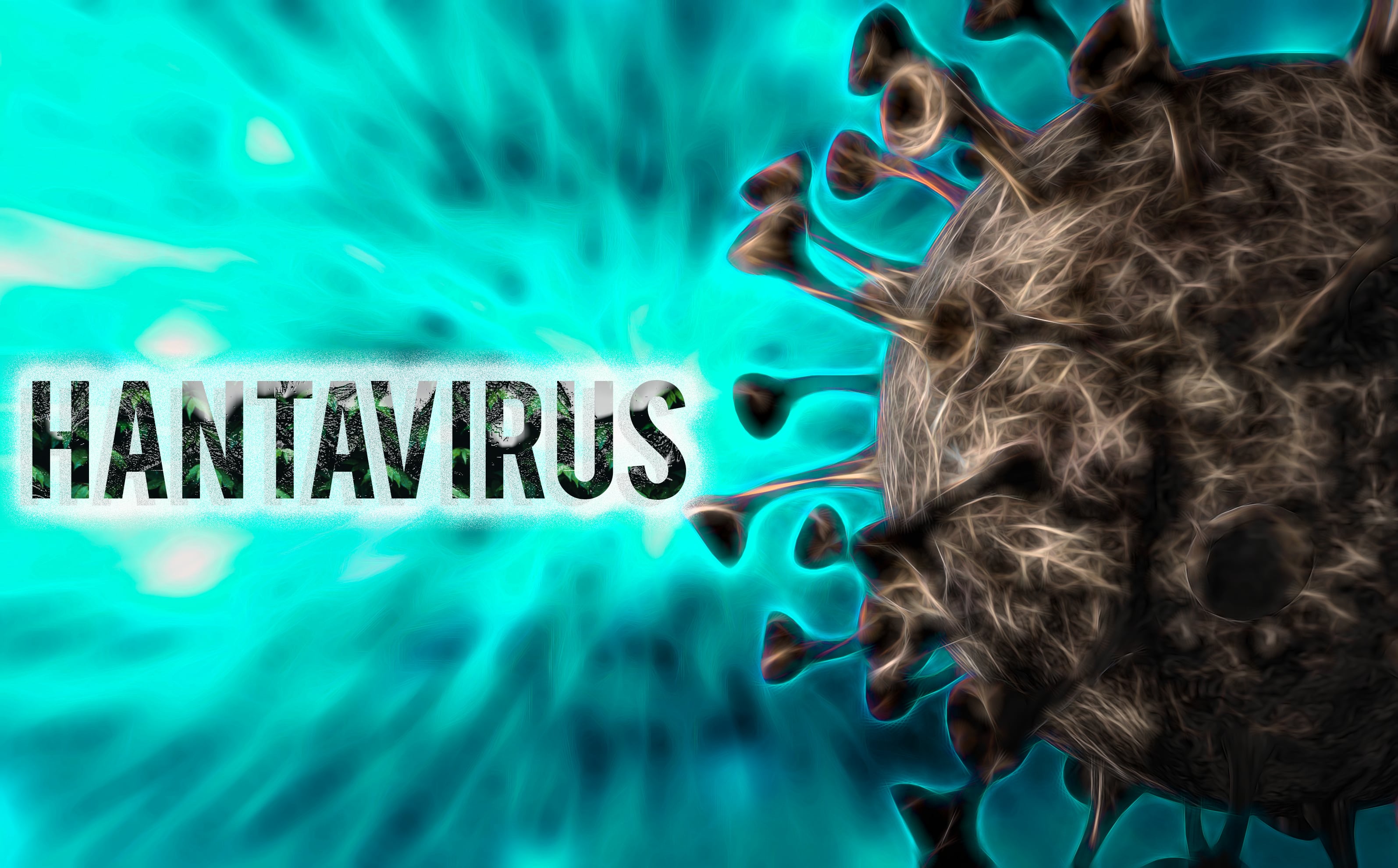 El hantavirus sigue siendo una enfermedad poco frecuente, pero especialistas alertan sobre su alta mortalidad en casos graves.