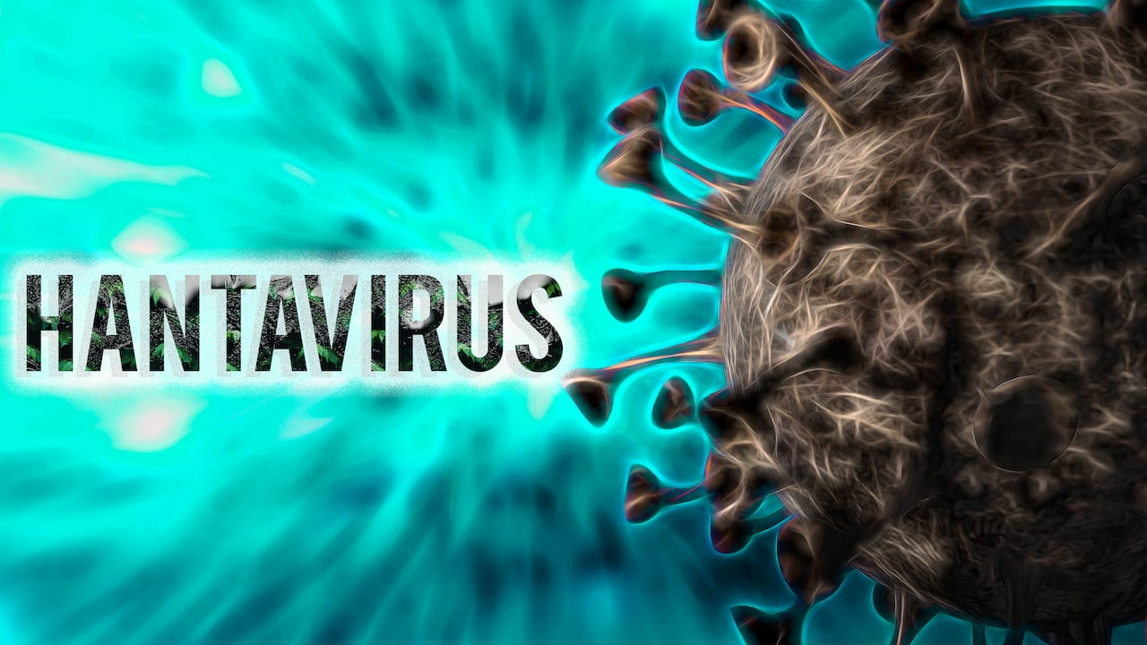 Especialistas advierten que actualmente no existen vacunas ni antivirales específicos contra el hantavirus.