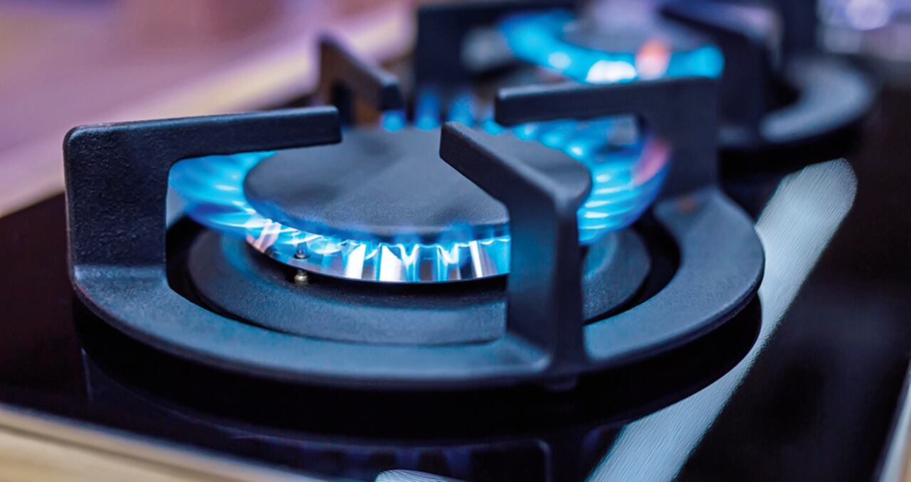 El impulso del gas en el país ha generado una revolución en el consumo de energéticos y ha promovido inversiones y desarrollo social.