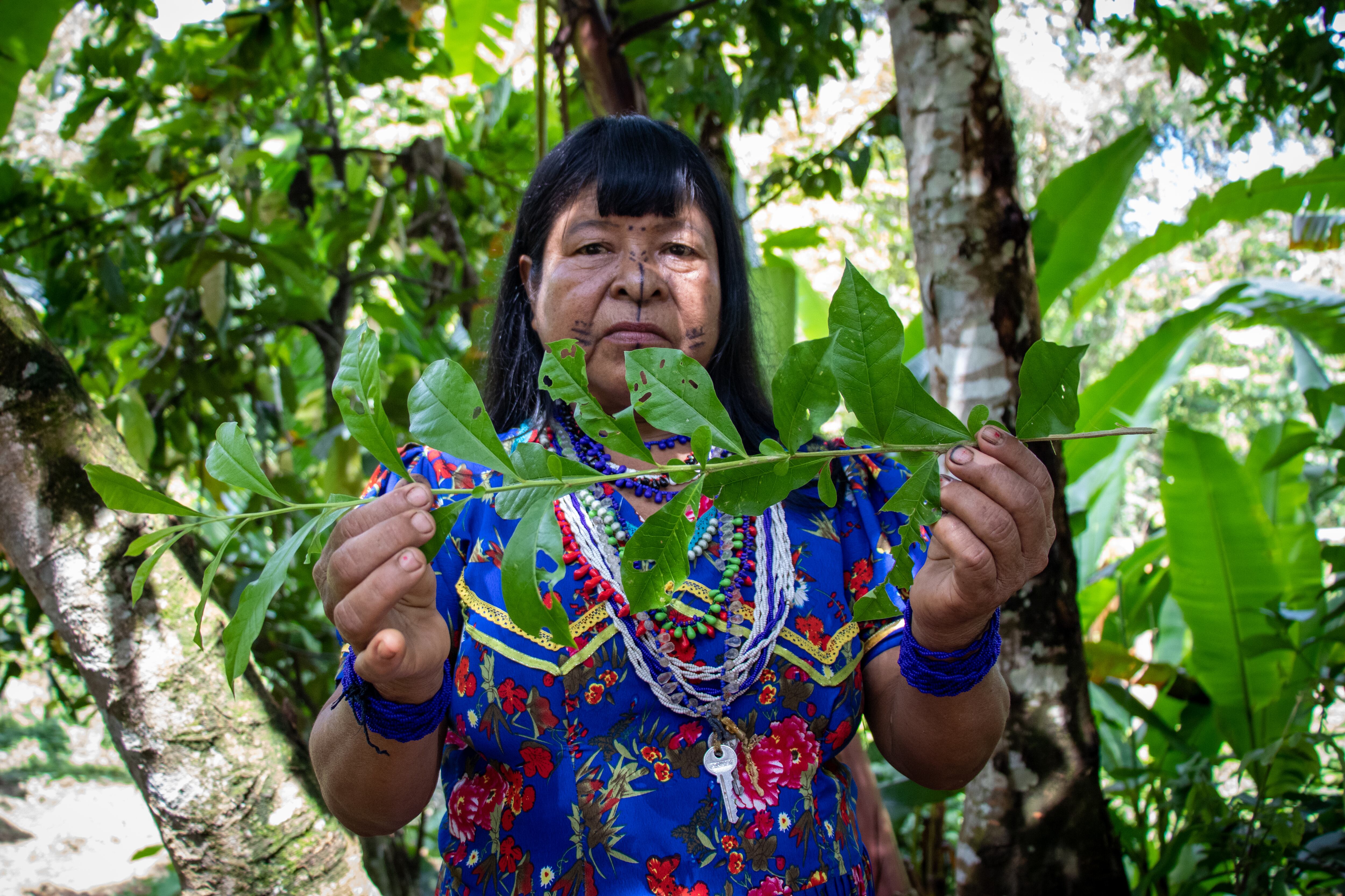 Puesto Indio, Sanadora Rogelina.