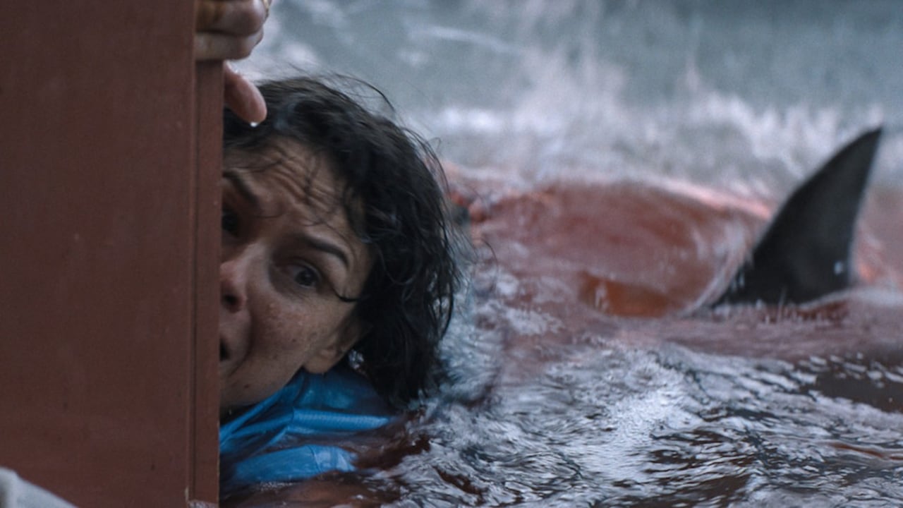 'Embestida': El fenómeno de los tiburones que conquista Netflix