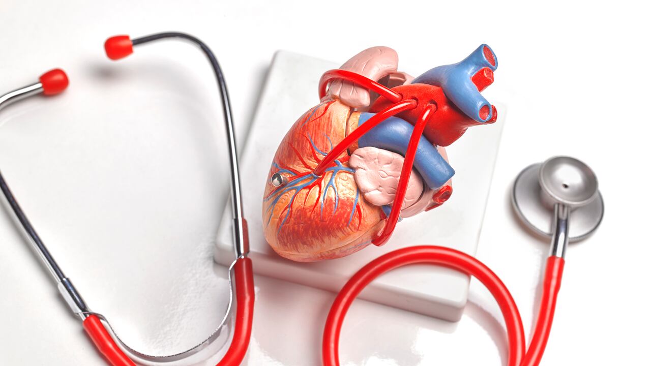 Mantener la sangre limpia es clave para que el organismo funcione de manera adecuada.