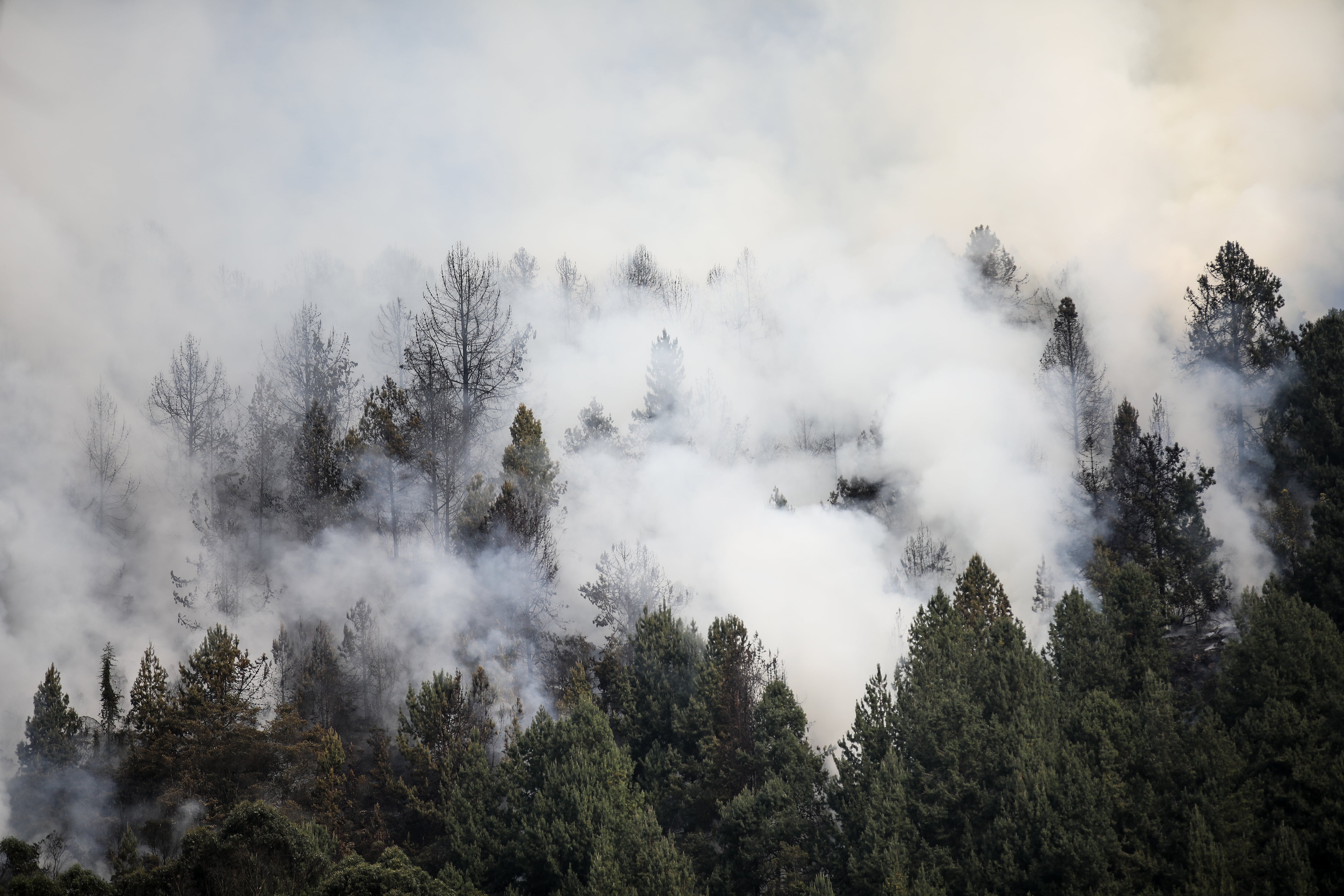 Imágenes aéreas de los incendios en la ciudad de Bogotá