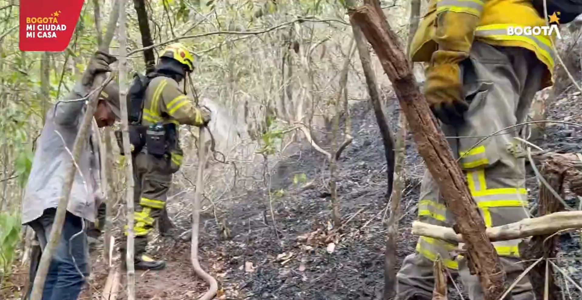 Bomberos de Bogotá culminan con éxito misión de emergencia por incendios en Cunday, Tolima.