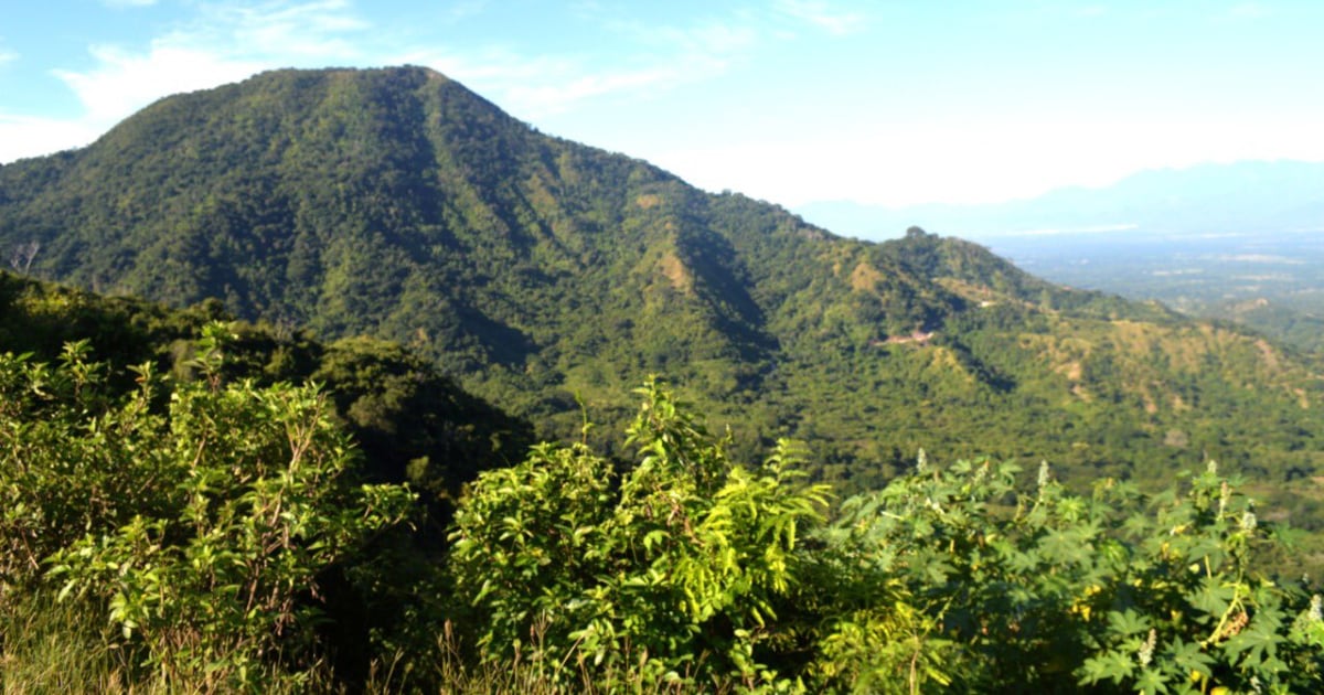 La Serranía del Perijá está ubicada entre los departamentos del Cesar, La Guajira y Norte Santander y limita con el estado de Zulia, en Venezuela. Foto: Corpoguajira