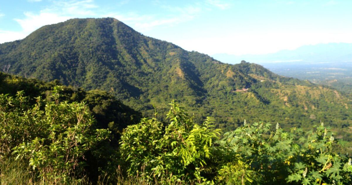 La Serranía del Perijá está ubicada entre los departamentos del Cesar, La Guajira y Norte Santander y limita con el estado de Zulia, en Venezuela. Foto: Corpoguajira