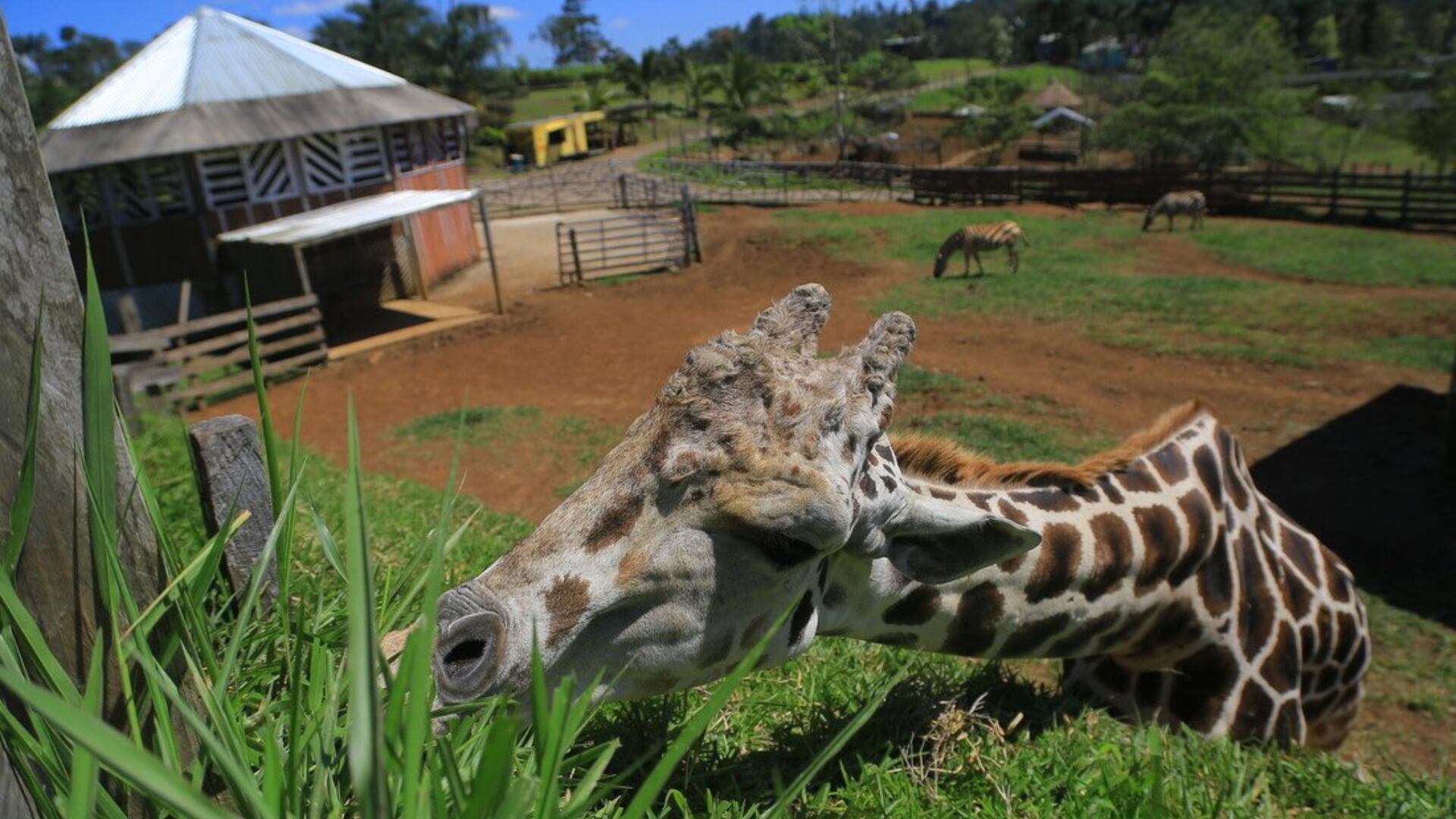 Imagen compartida por @gabrielortizzhn