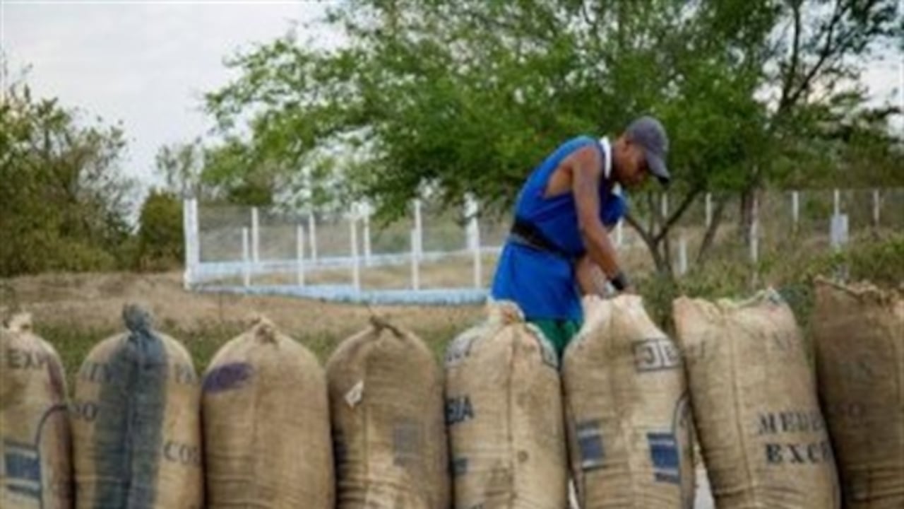 “Por ejemplo me cuentan que hay unos molinos en Maicao y en Cúcuta que lo único que sirven es para ingresar mercancía de contrabando”