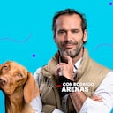 Perro velón. Episodio 1 de EduCANdo Manadas con Rodrigo Arenas.