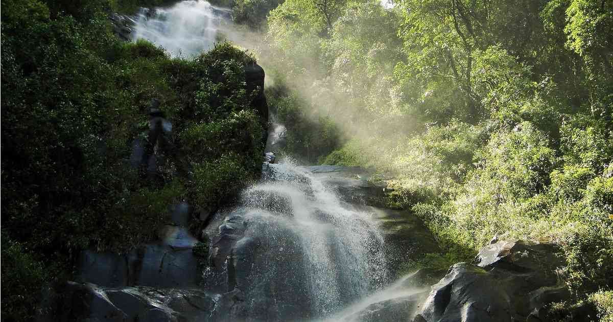 Los diversos ecosistemas son clave para el futuro del planeta, así que las decisiones y actuaciones que se adopten para preservarlos serán determinantes para las próximas generaciones. Foto: Corantioquia. 