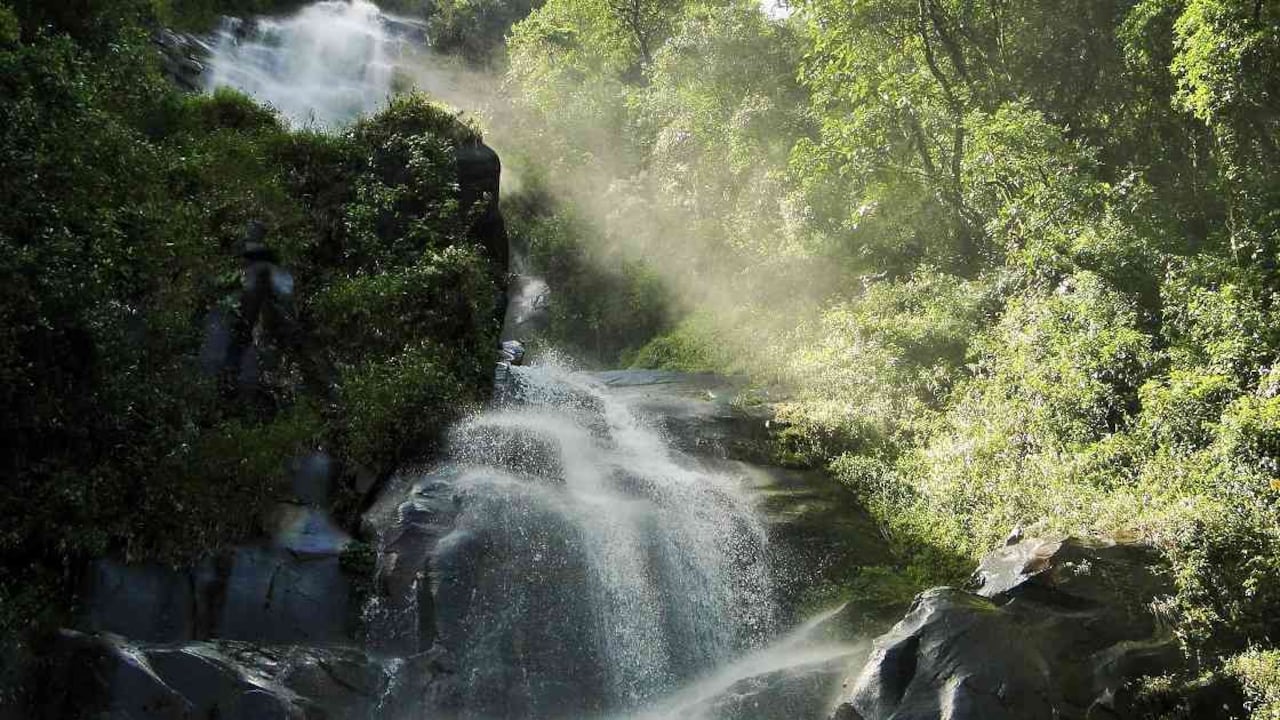 Distrito Regional de Manejo Integrado (DRMI) Cuchilla Jardín Támesis. Foto: Corantioquia.