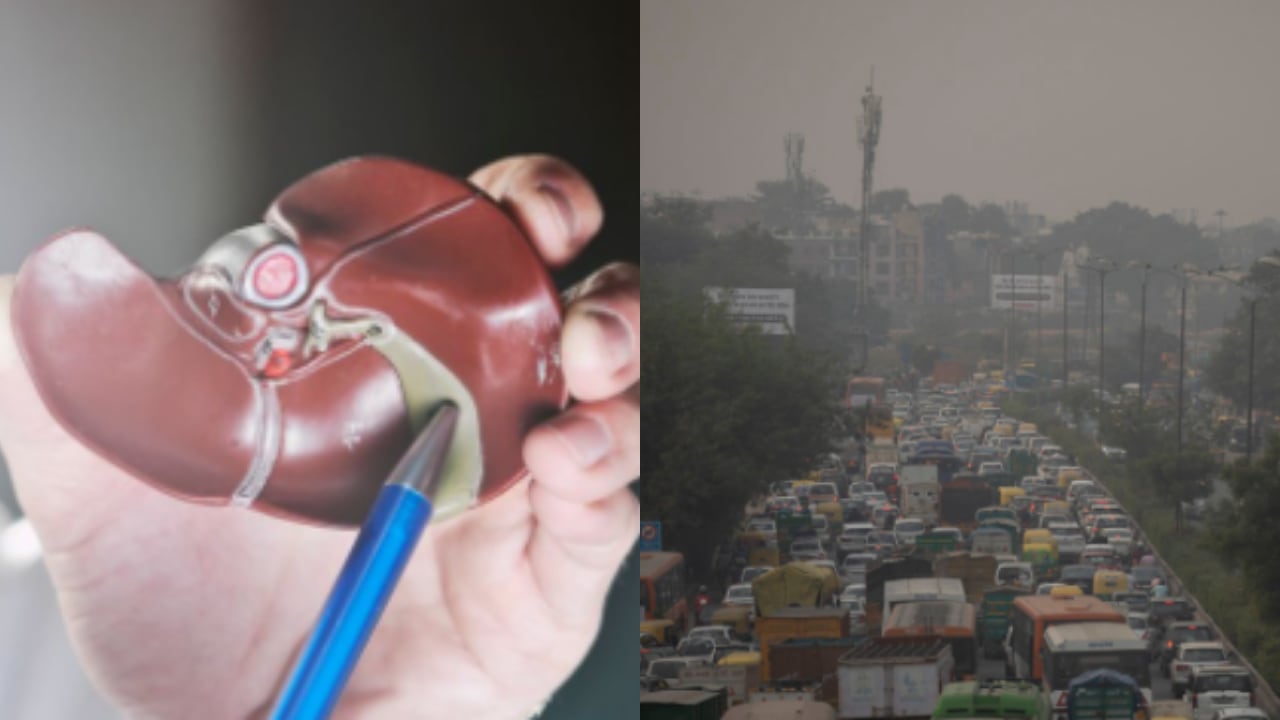 En países como China, puede presentarse mayor cantidad de personas padeciendo de hígado graso debido a la calidad del ambiente.