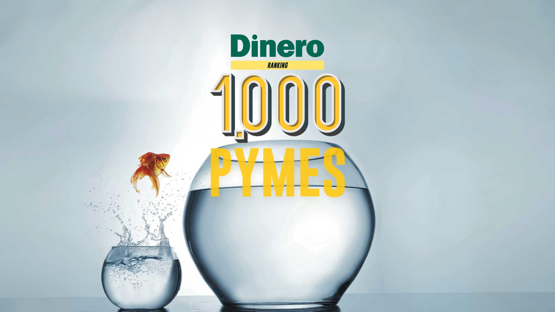 1.000 pymes 2026