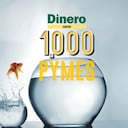 1.000 pymes 2026