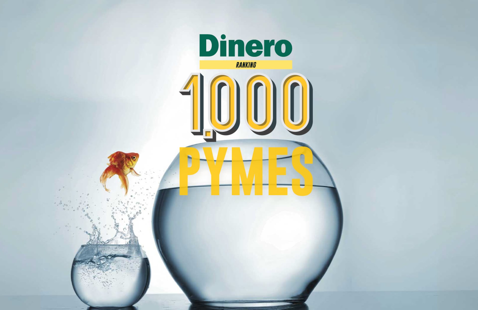 1.000 pymes 2026