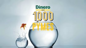 1.000 pymes 2026